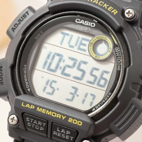 Đồng Hồ Casio Nam WS-2100H-8AVDF