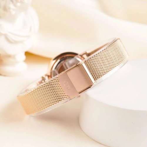 Đồng Hồ Daniel Wellington 28mm Nữ DW00100476