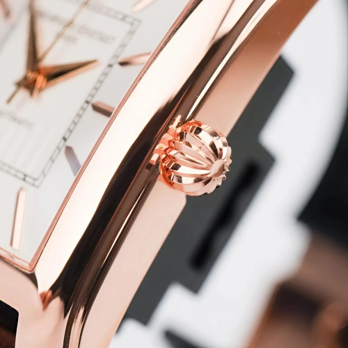 Đồng Hồ Frederique Constant 36x30mm Nam FC-303V4C4 