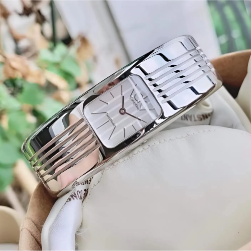 Đồng Hồ Calvin Klein 21mm Nữ K8122120