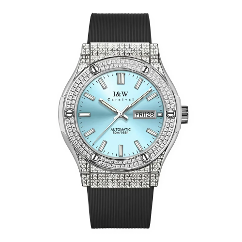 I&W Carnival Nam 55851GD3