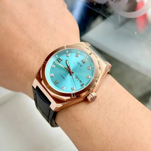 Đồng Hồ I&W Carnival Nam 751G17